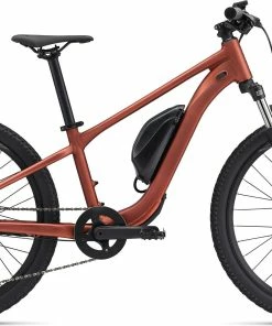 Giant Talon E+ 24 - 2023